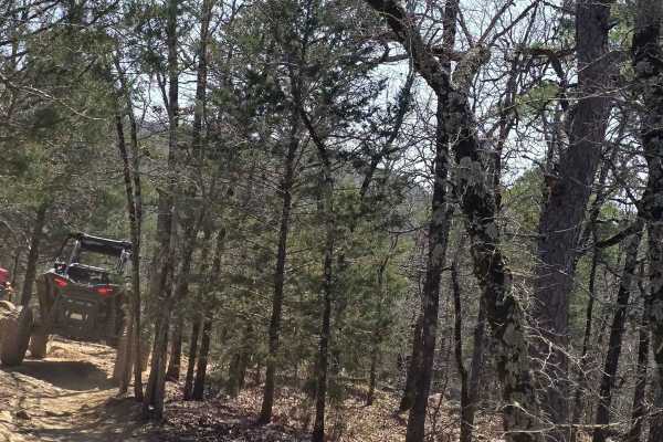 Lookout Access Trail