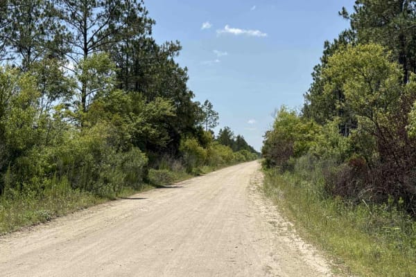 Gully Branch Road