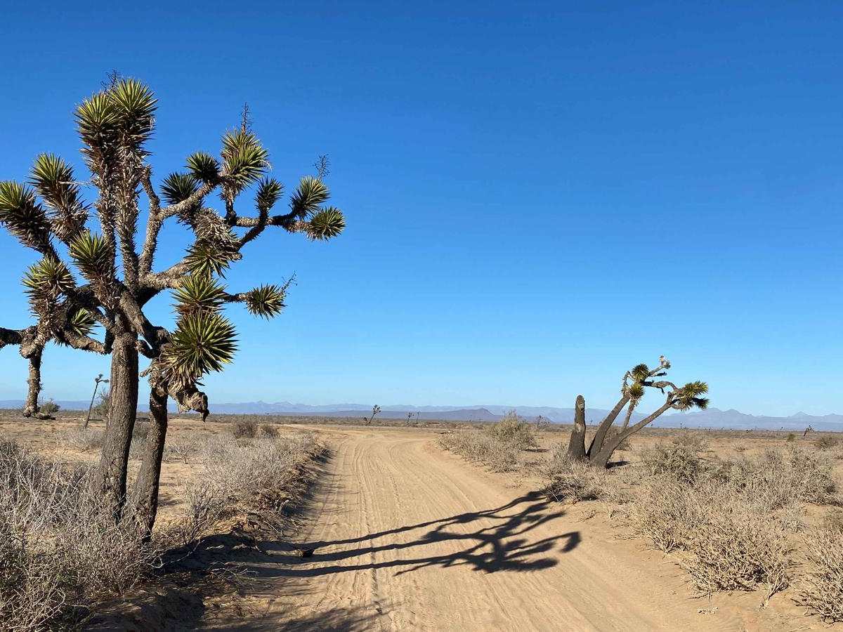 Ruta El Arco South trail photo