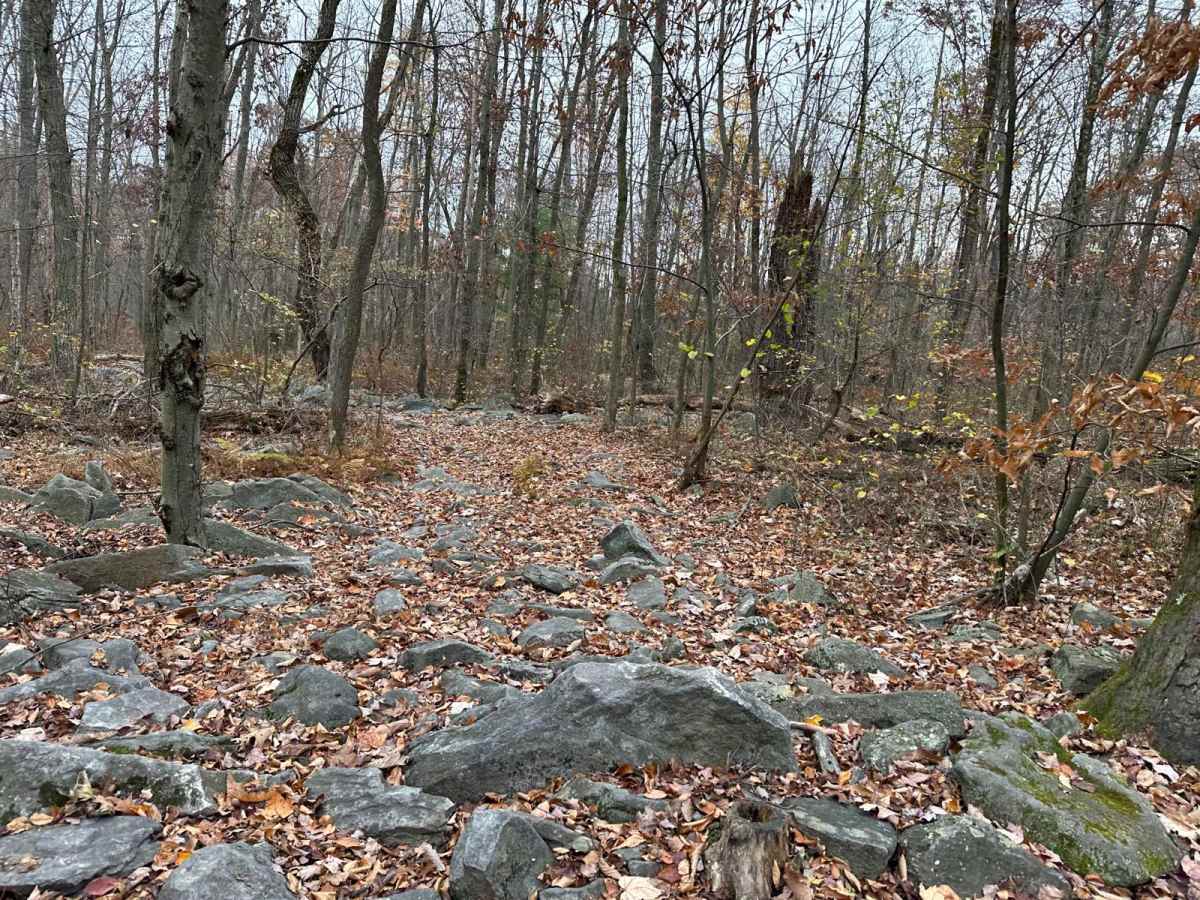 14A Blue photo 5