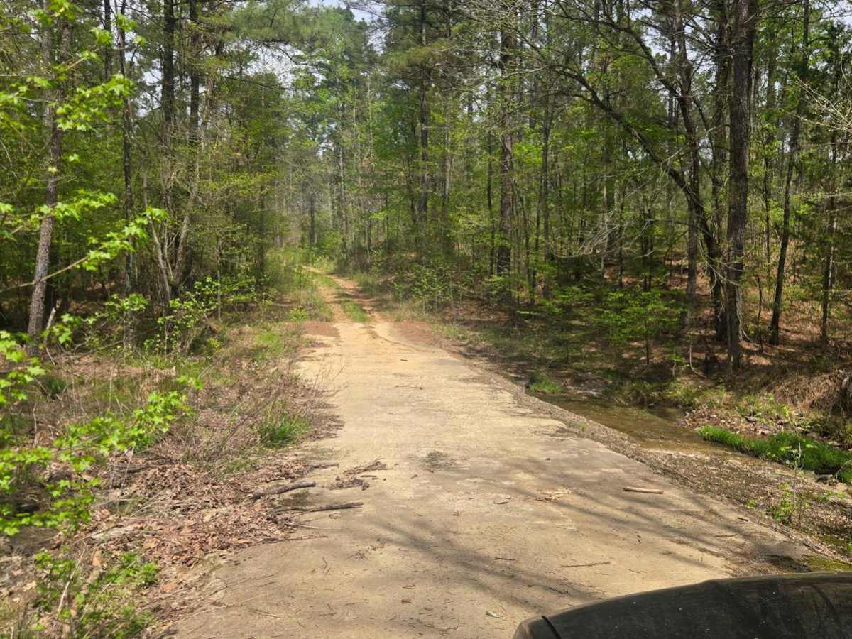 Golf Course Trail photo 3