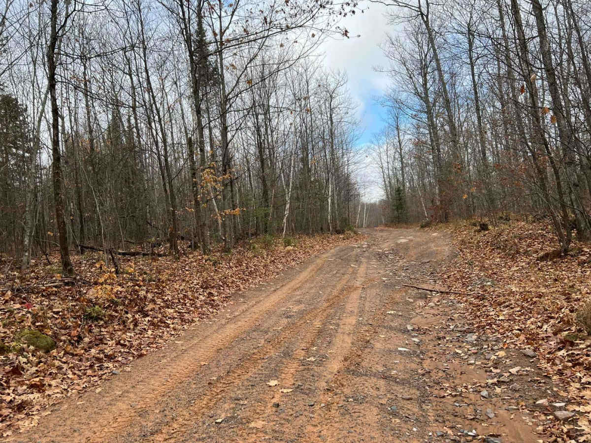 Florence County F6 Mark Peters Memorial Trail photo 6