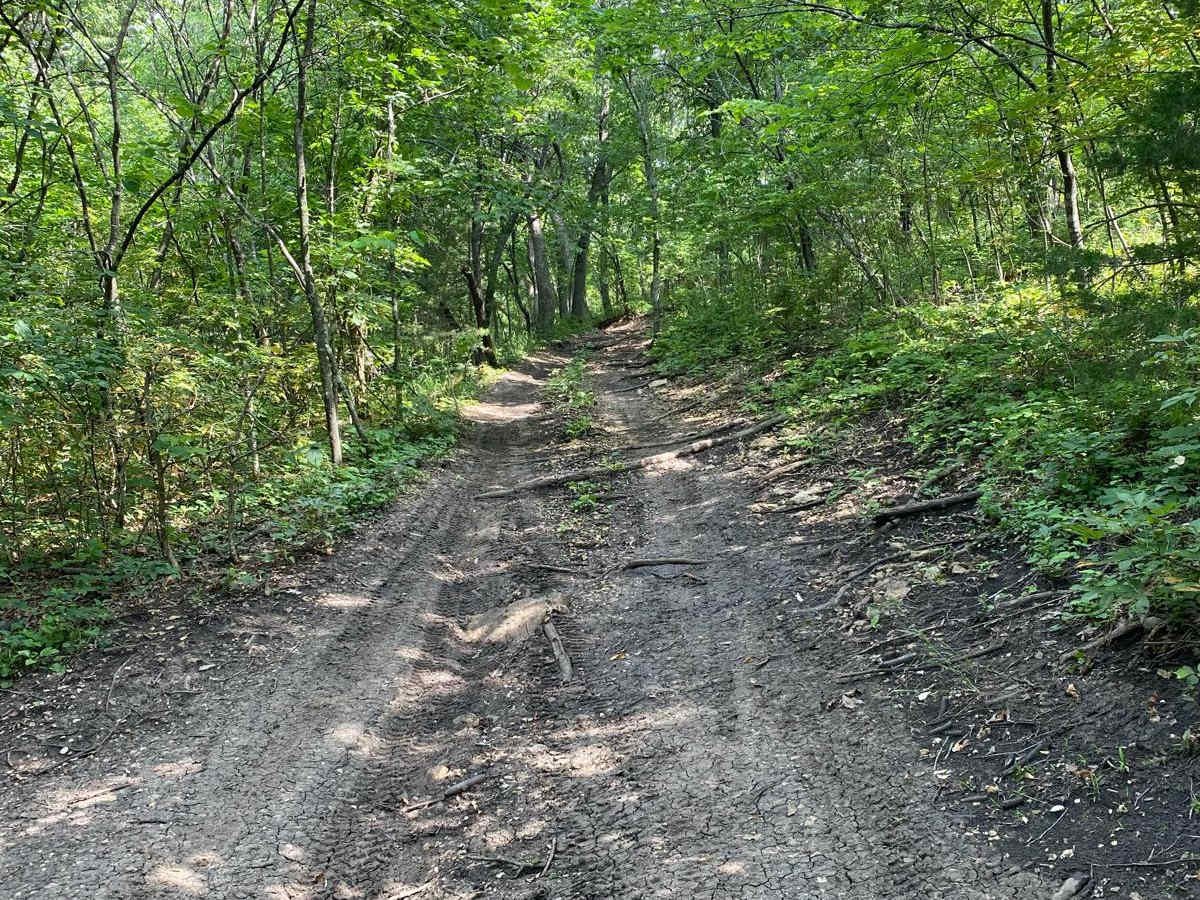 Creek Pass photo 4
