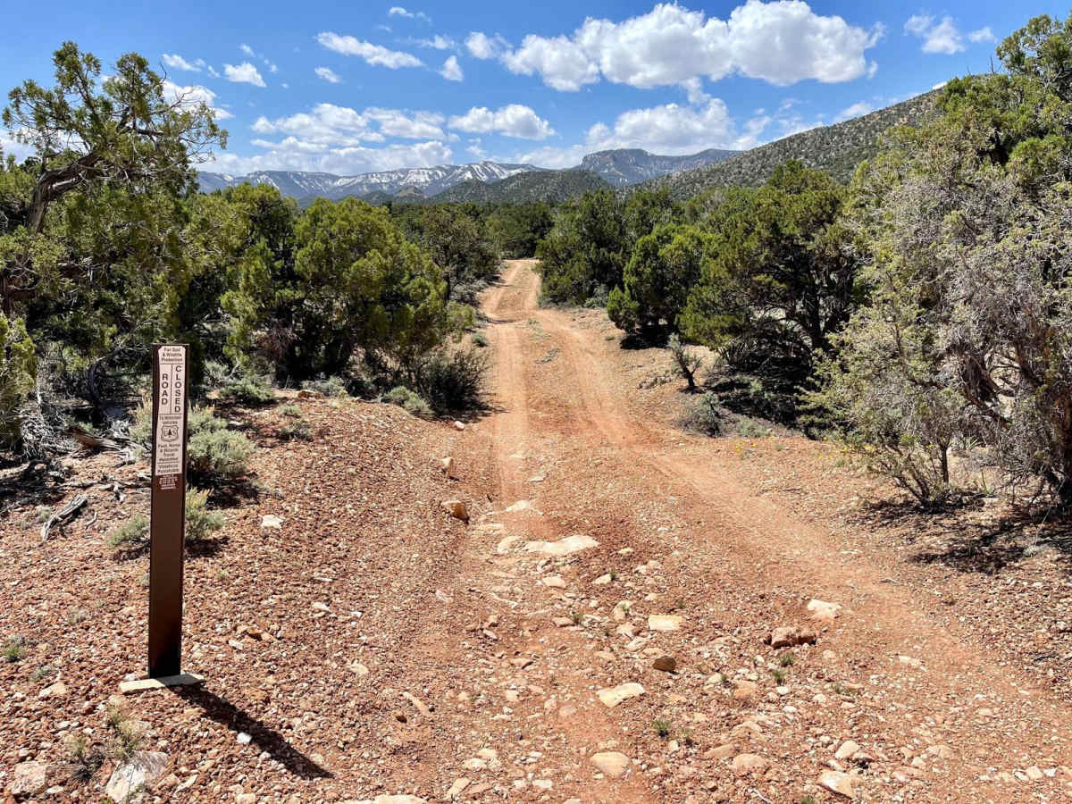 East Game Road photo 4