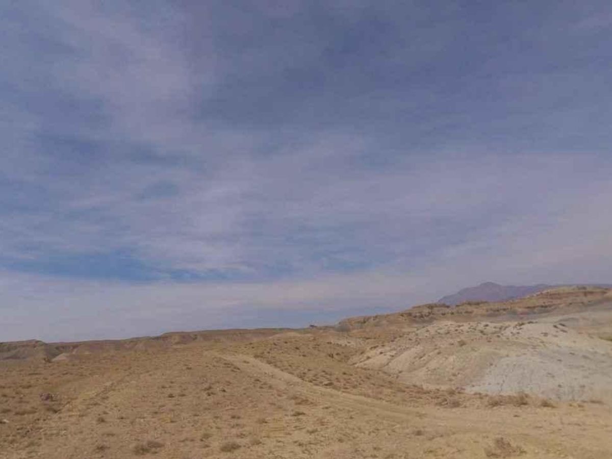 BLM13040 photo 2