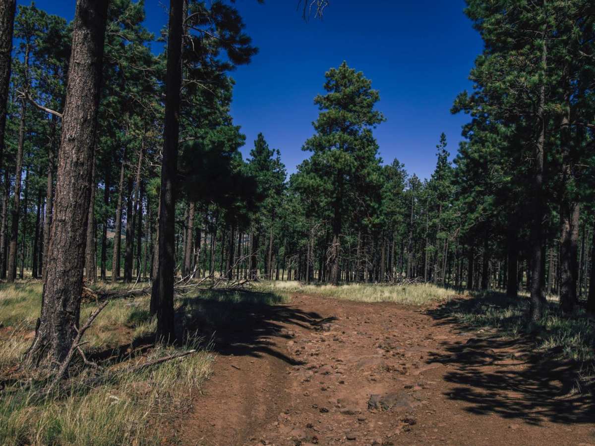 High Grass Crossing photo 4