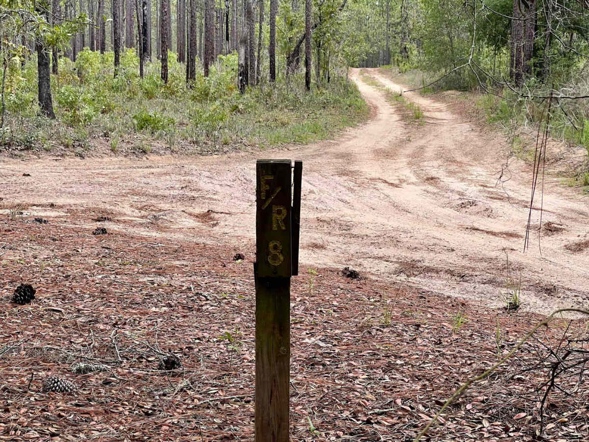 Crooms Wildlife Management | Trail 8 trail photo