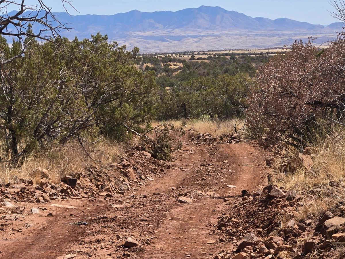 FSR 4104 to Hog Ridge trail photo