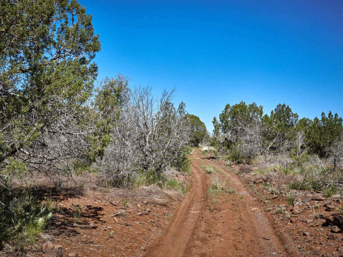 Prairie Train Trail trail photo
