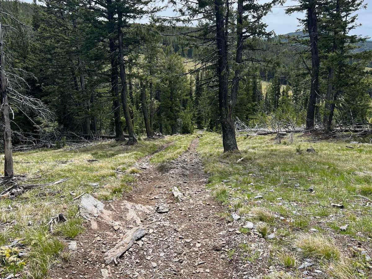 Ashley Divide photo 3