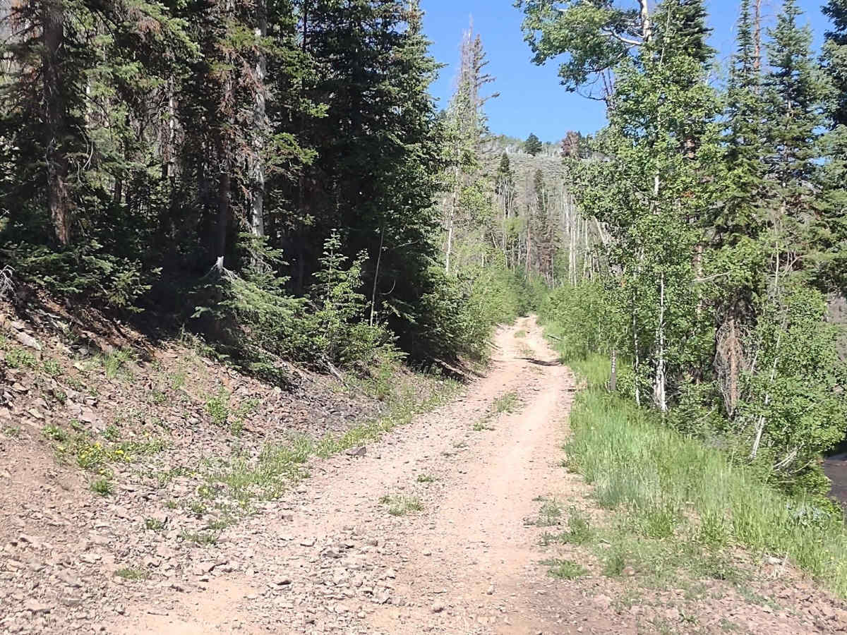 South Fork Greenwich Creek photo 3