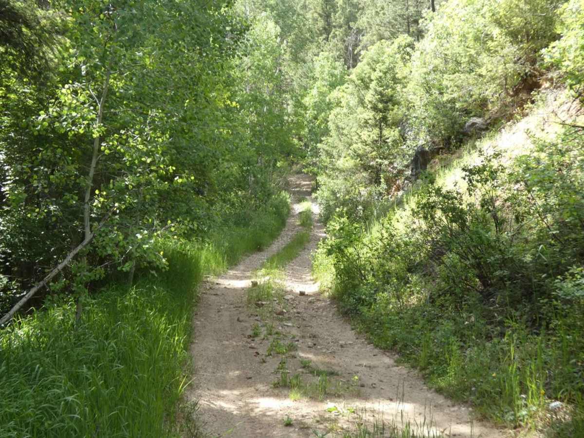 Dalton Canyon Loop photo 3