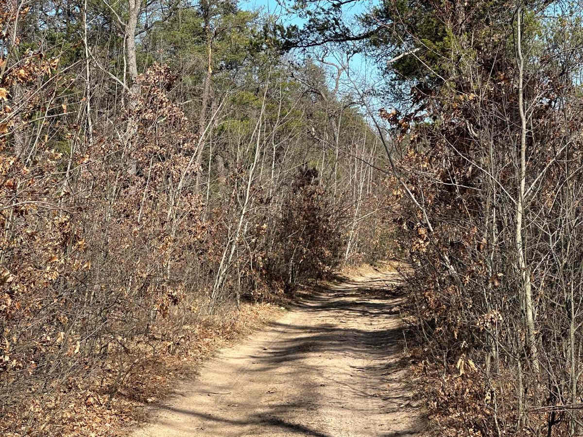 Pine Road photo 2