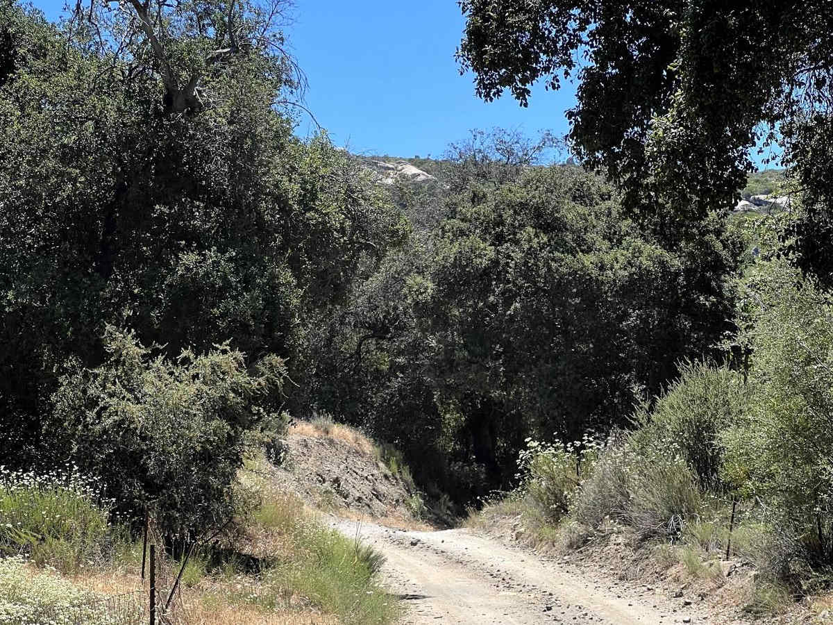 Corral Canyon Road photo 3