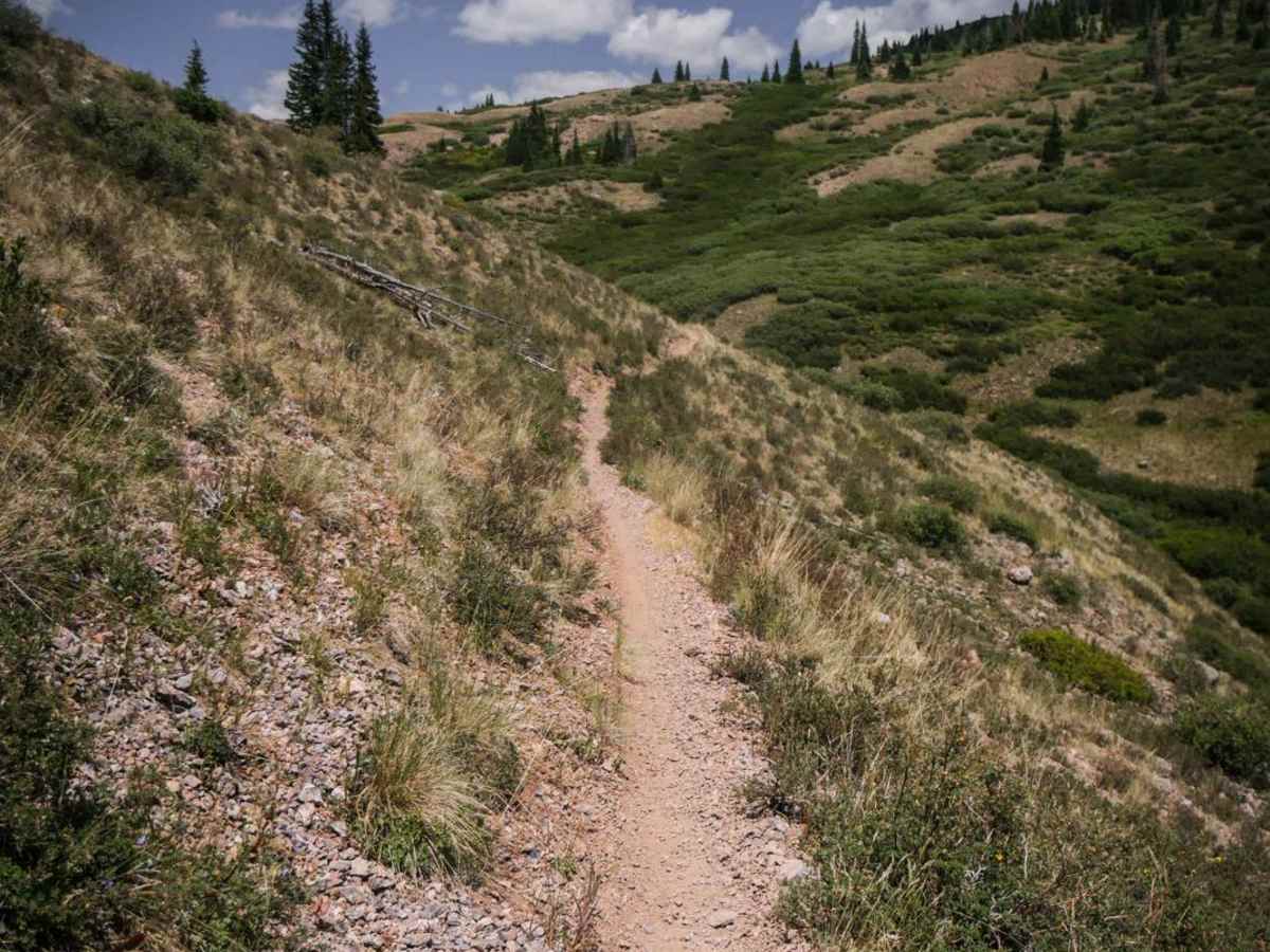 Pole Creek photo 2