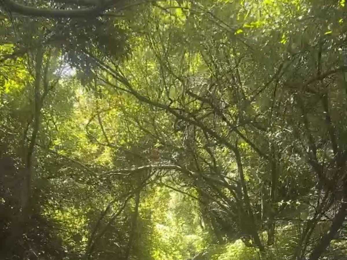 Welcome to the Jungle photo 2