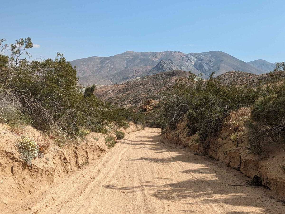 SC251 Jawbone Road to Gold Canyon Road photo 4