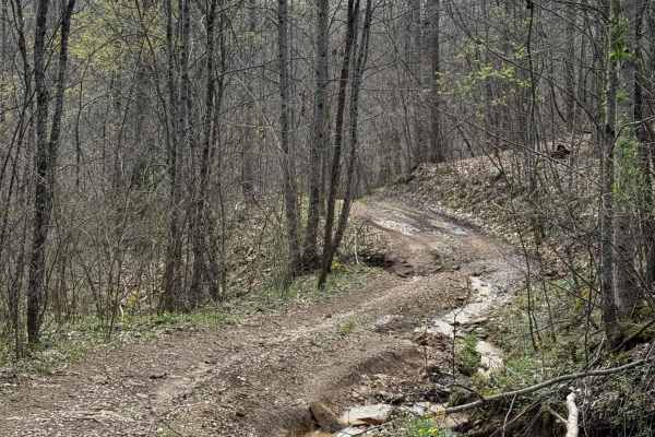 Trail 21