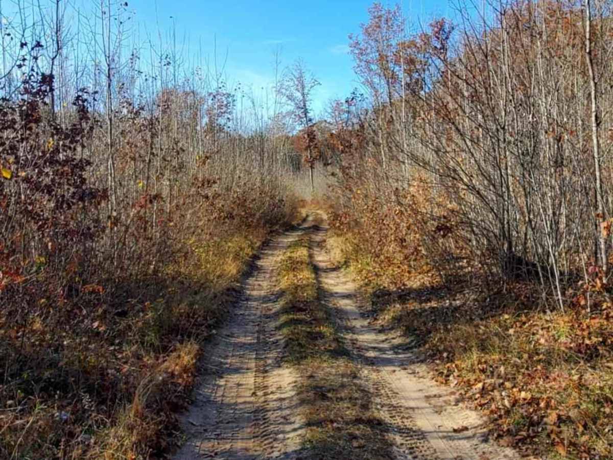 Trail 7322 photo 5
