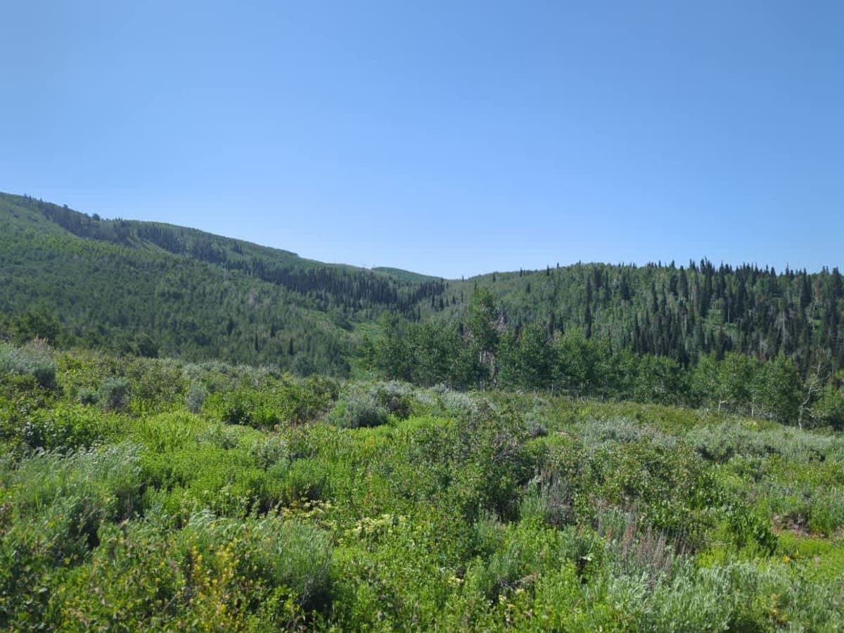 Mitchell Hollow ATV photo 4
