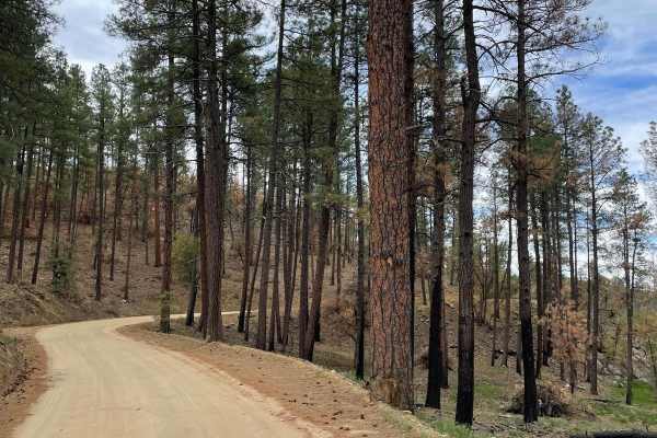 Wolf Creek to Senator Highway