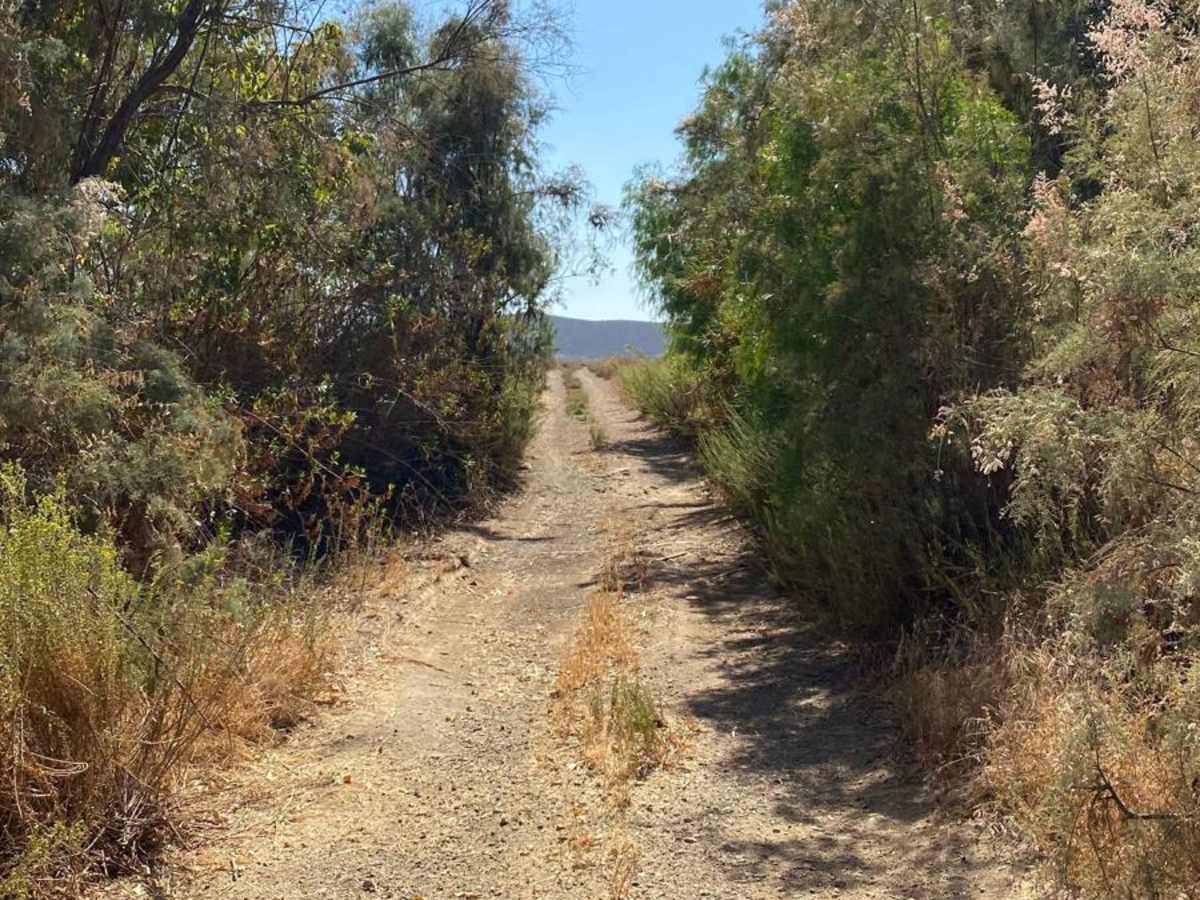Rancho El Papalote Road photo 4