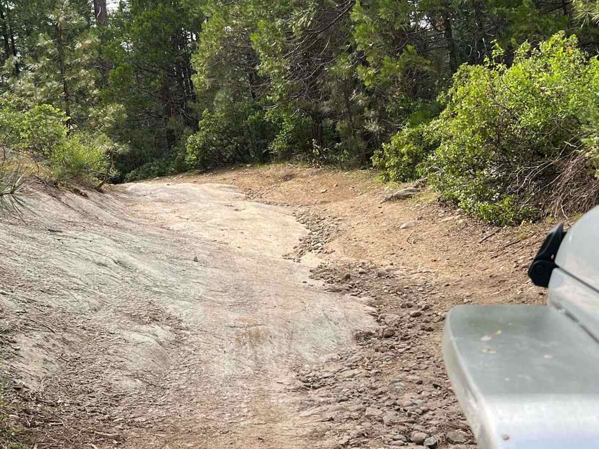 South Fork Stanislaus River Trail (4N90) trail photo