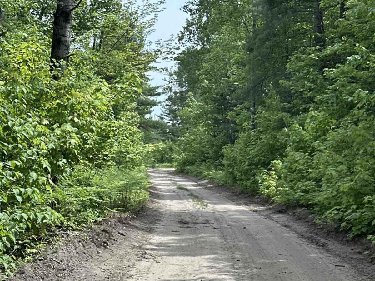 FS 3158 photo 3