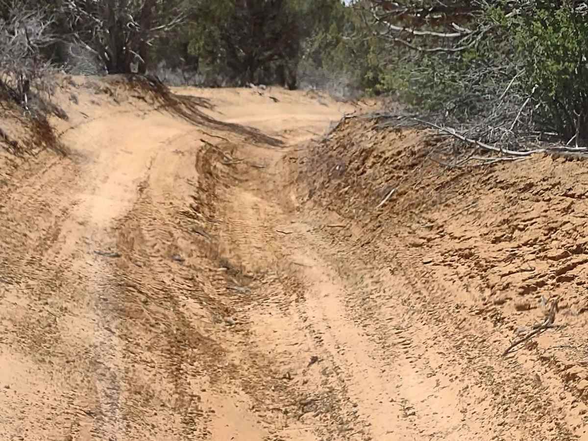 Sandy Grand Prix (BLM 104C) trail photo