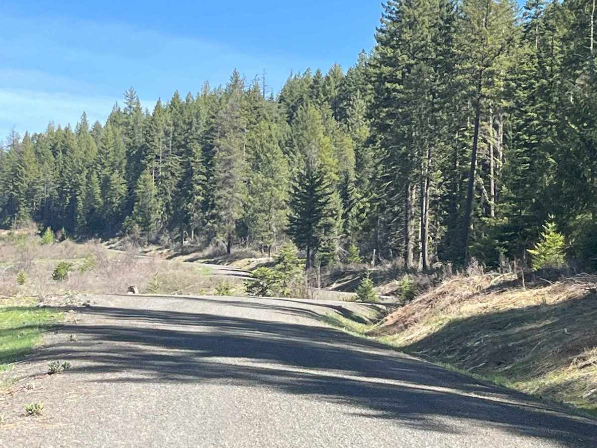 Cherry Butte Lower Road trail photo