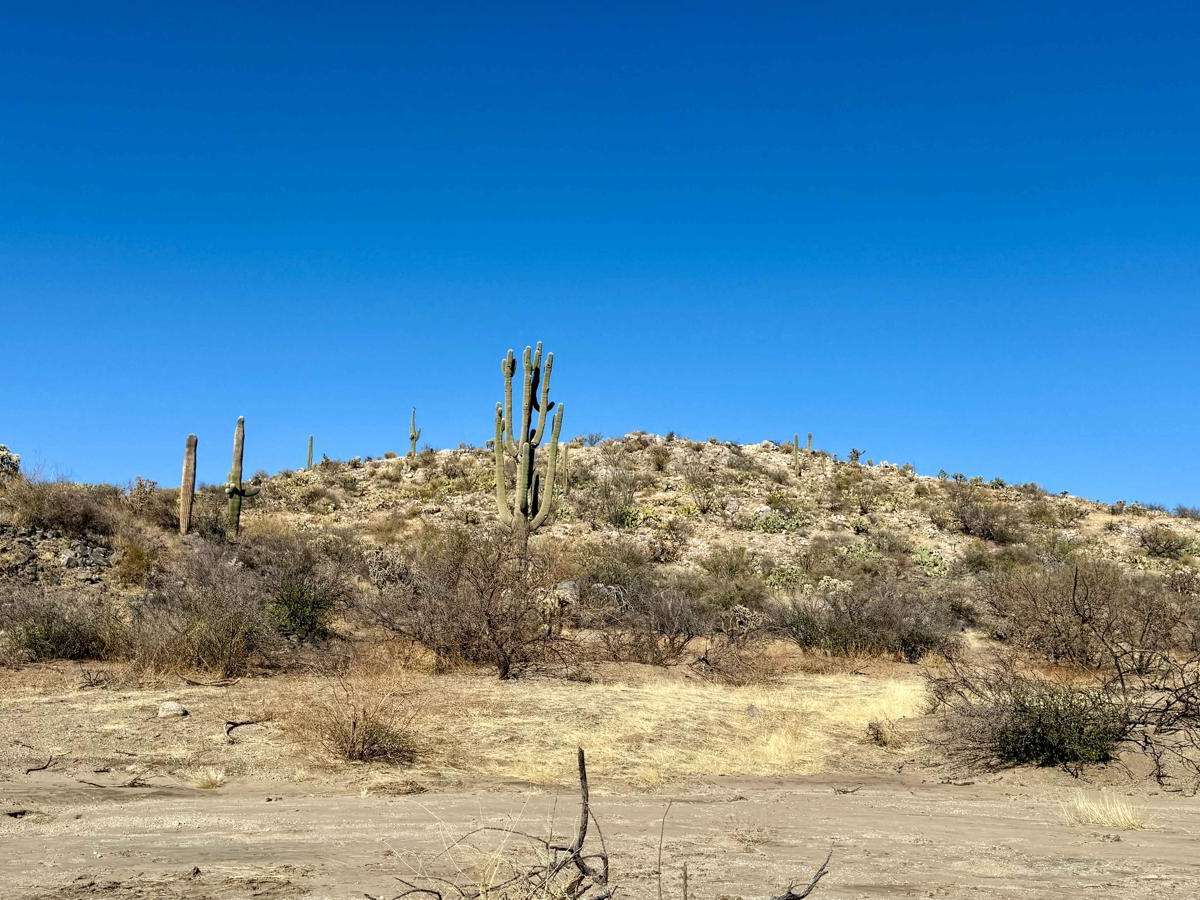 Miller Wash to the Lumpy Rocks photo 5