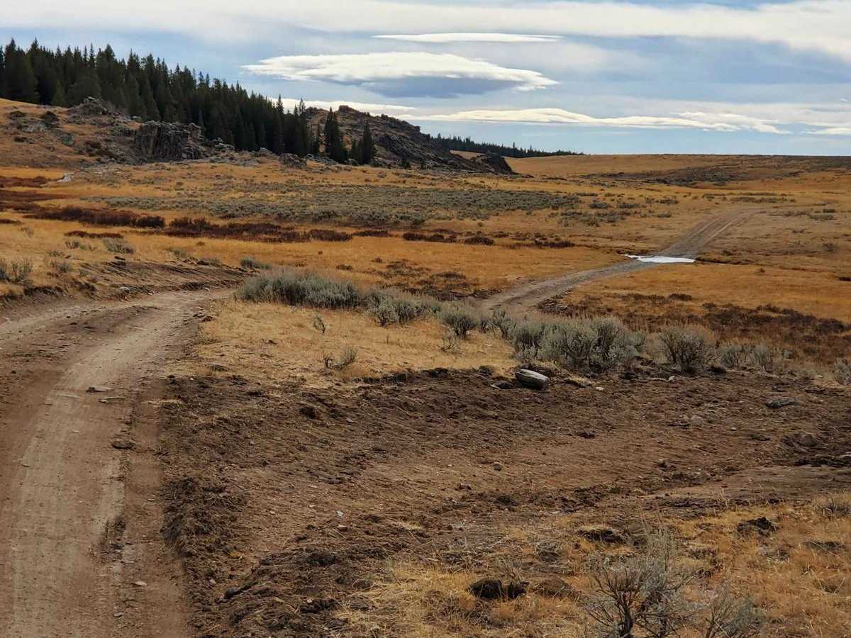 Web Creek Loop photo 3