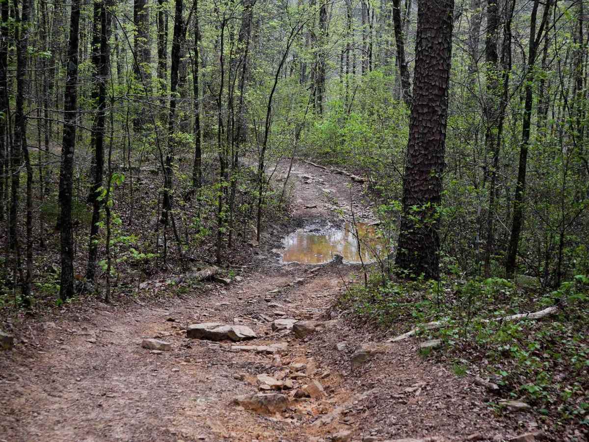 Gap Hollow Spur South 2 photo 4