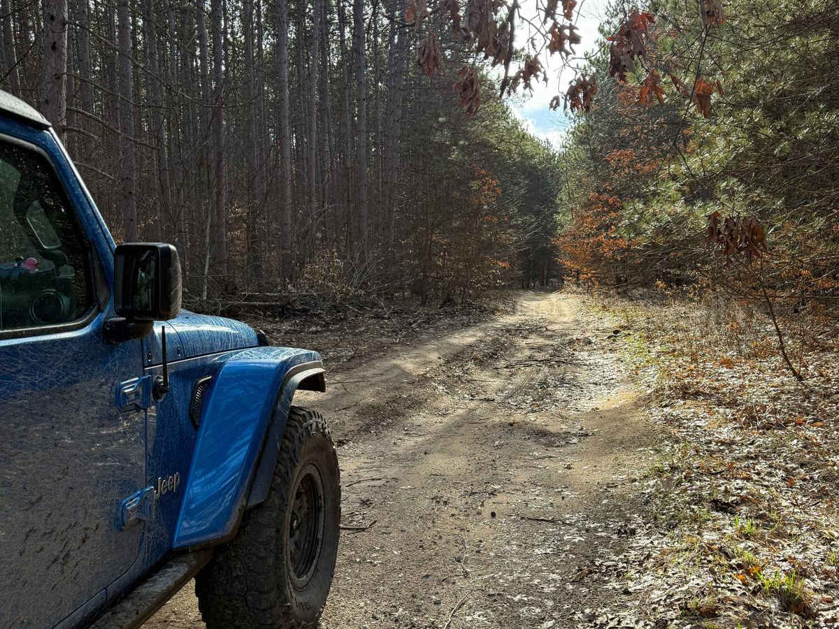 NFS 5201 photo 6