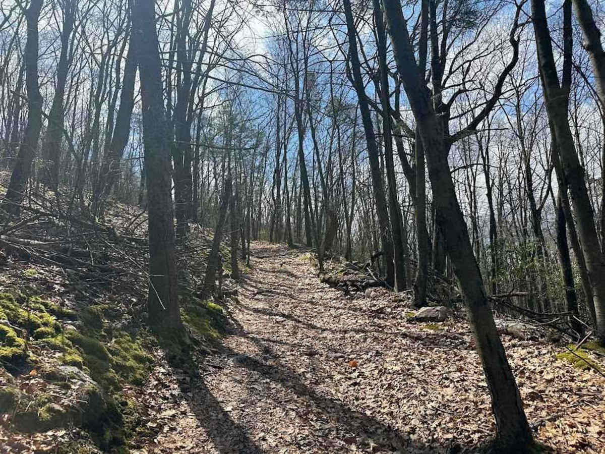 Ashland 123 photo 2