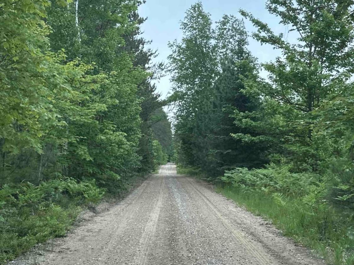 Trout Lake to Brevort photo 6