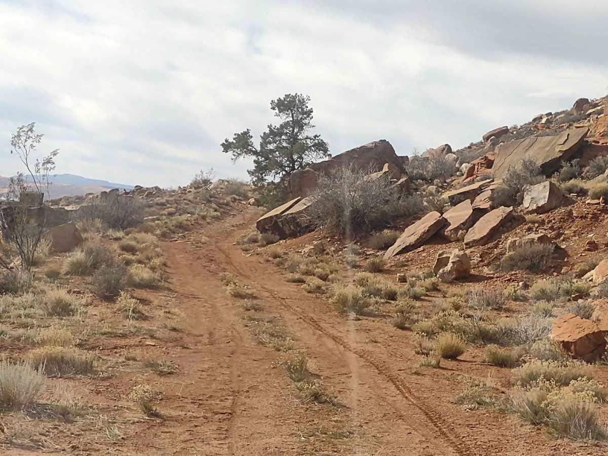 Red Cliffs Hidden Canyons View photo 4