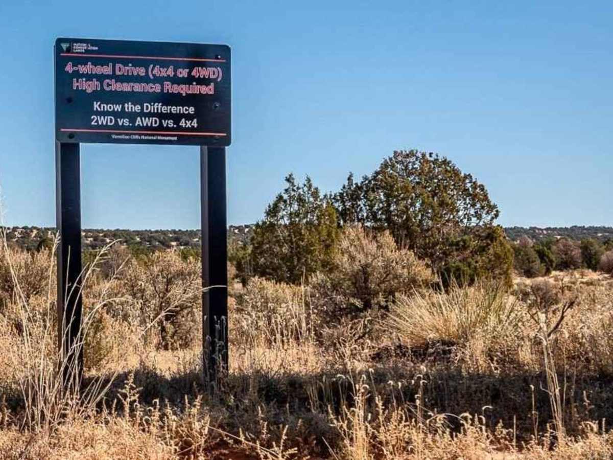 Cottonwood Cove-BLM1082 photo 3