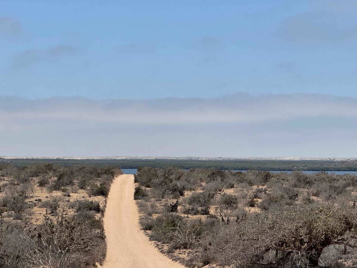 Campo Vicente Access trail photo