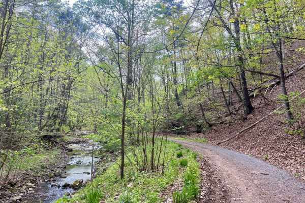 Fort Seybert Trail