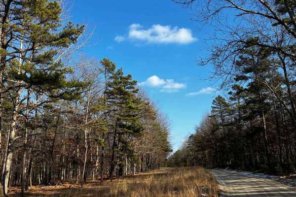 Webb Mill Road to 539