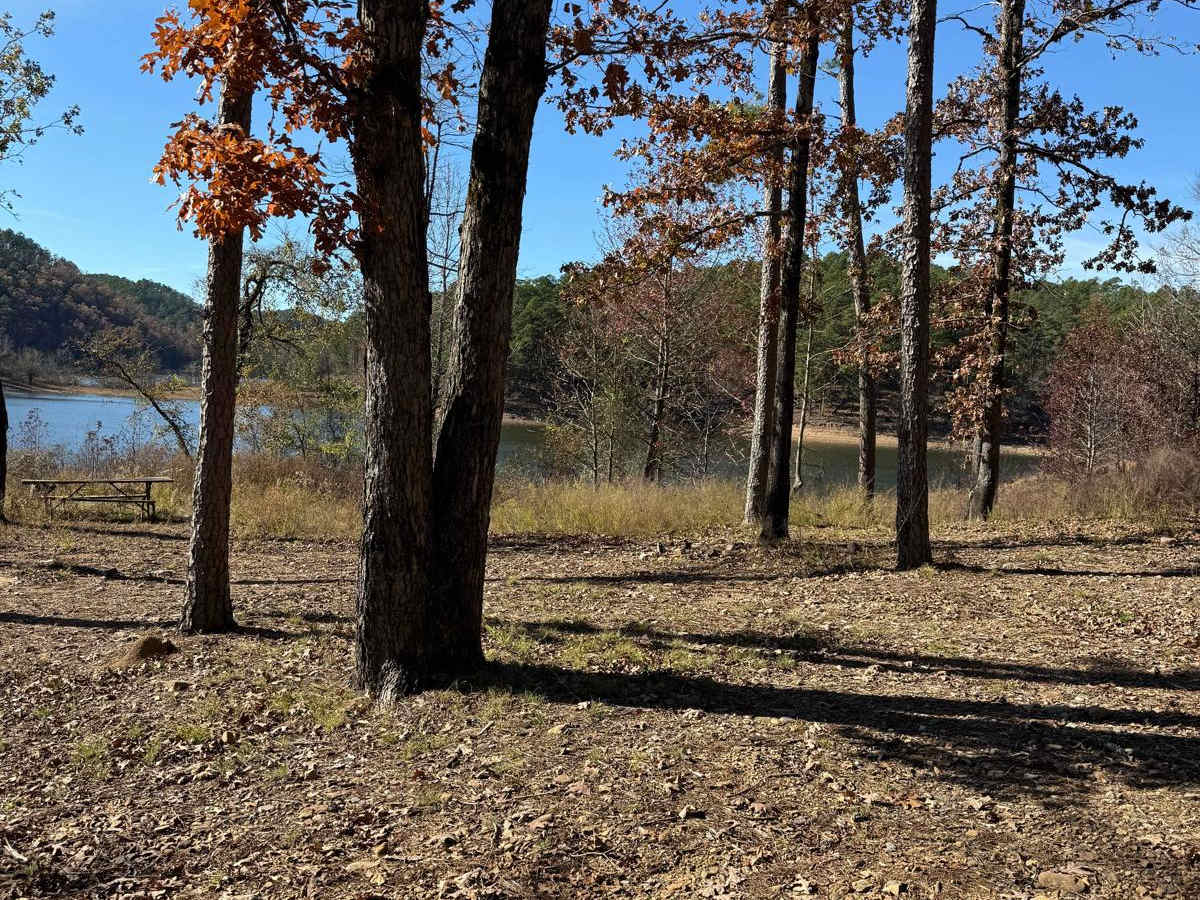 Johnny Beavers Trail to Holly Creek Landing photo 3