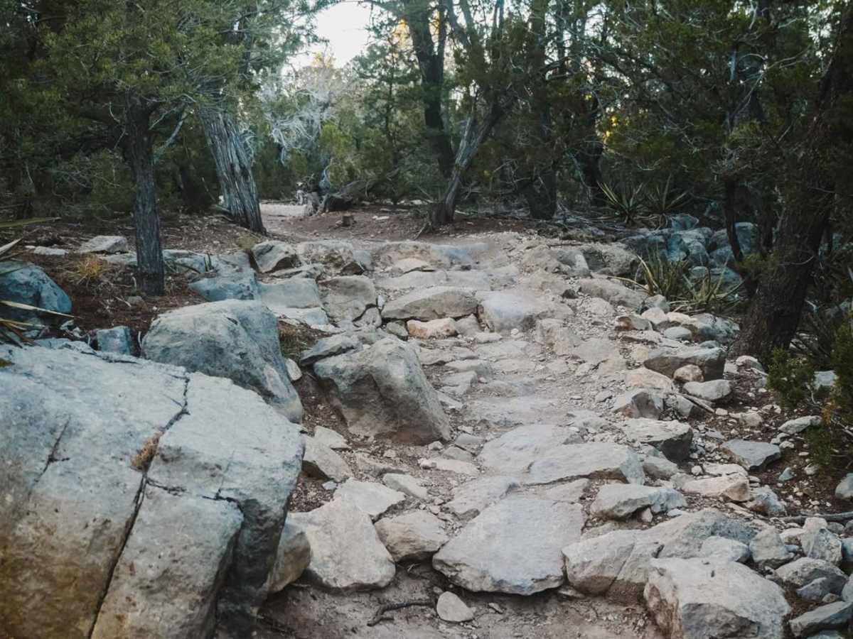 Tunnel trail photo