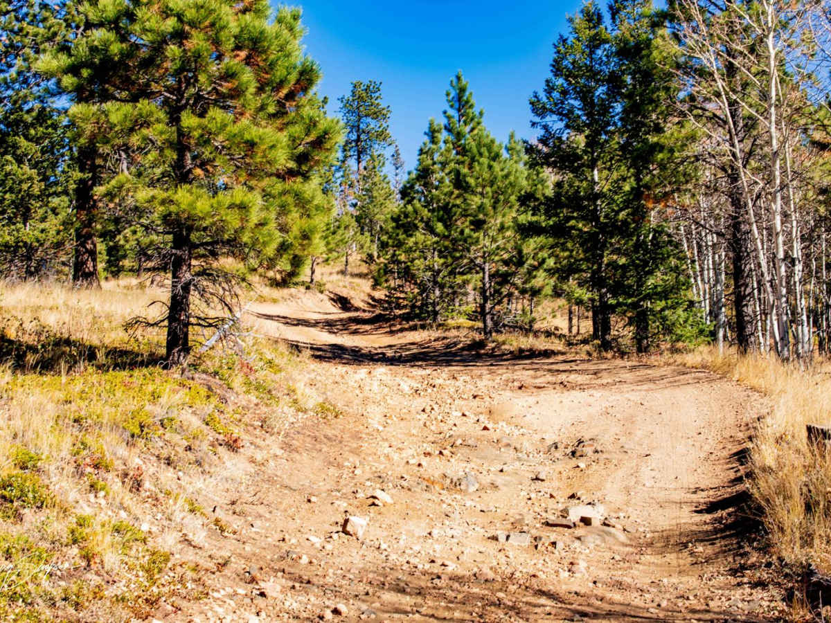 Bear Gulch Road FR 304 photo 5