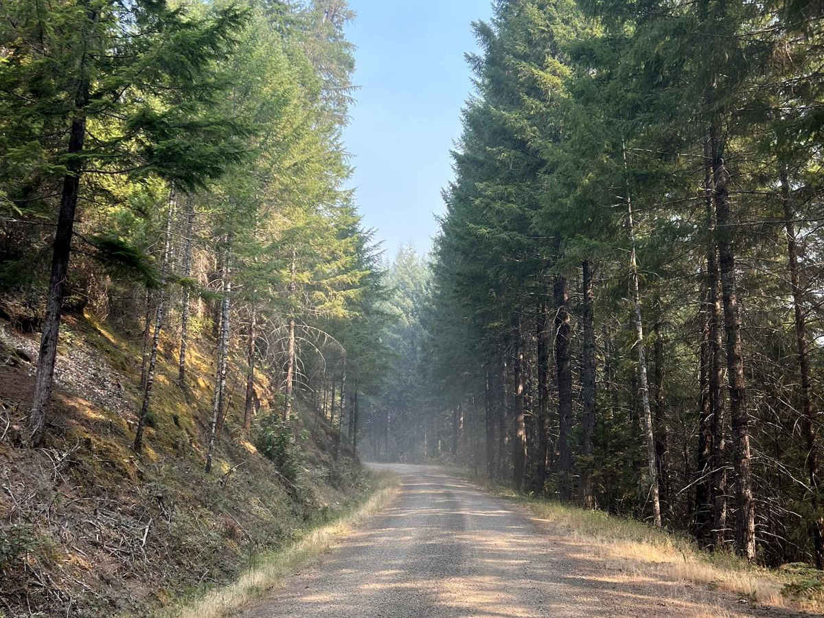 NF3809 to NF3806 trail photo