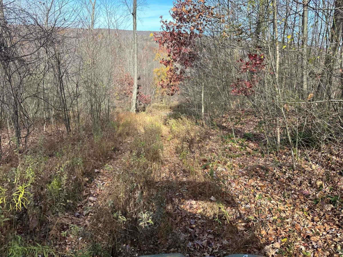 Ashland 164 photo 2