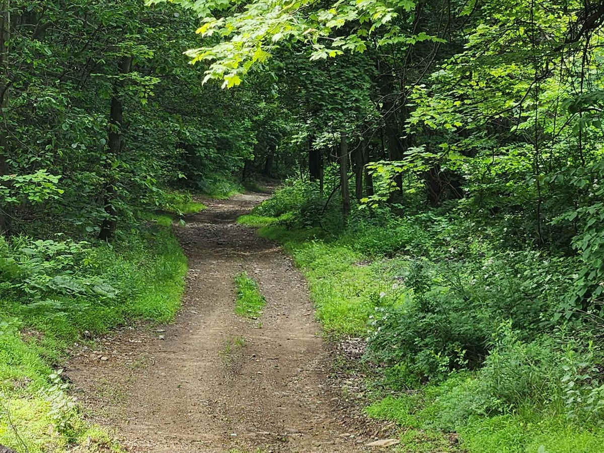 CW Road - Rock Run Recreation Area photo 5