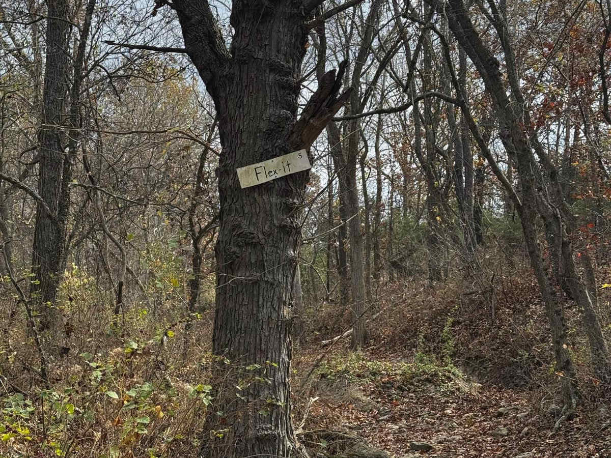 Flex it trail photo