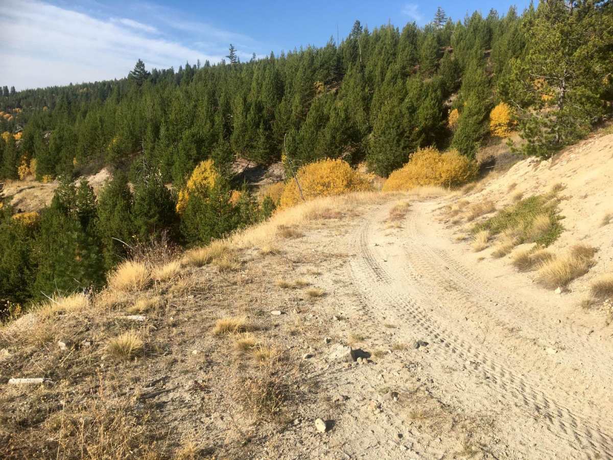 Darby Trails Loop 2 photo 4