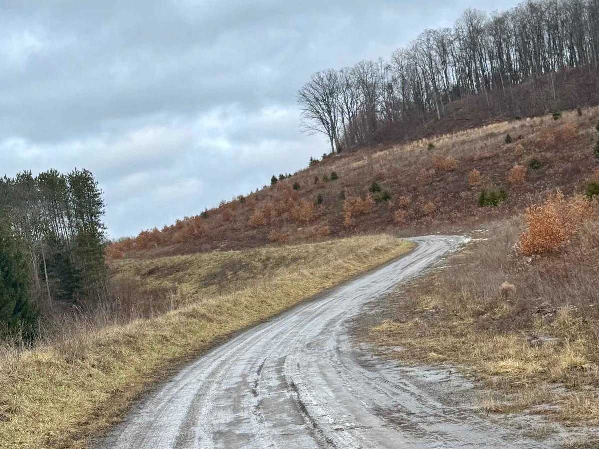 East Slab Run Road photo 4
